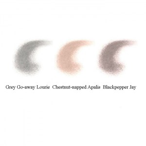 Цвета Rouge Bunny Rouge When Birds Are Singing Matte Eye Shadow